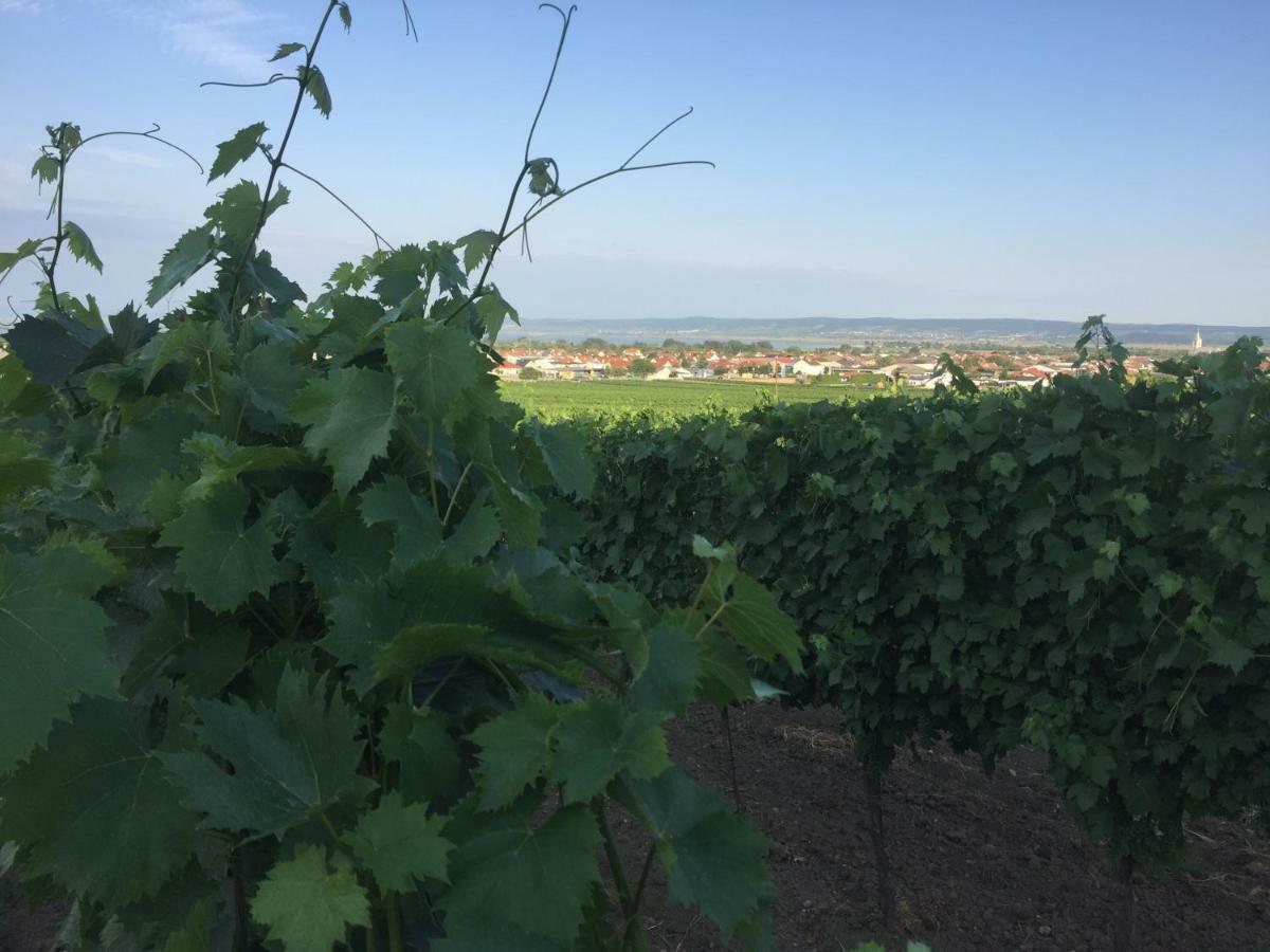 Weingut Krikler Daire Weiden am See Dış mekan fotoğraf